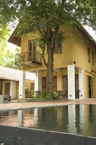 a house with a tree in front of a swimming pool at Lagoon House Rekawa in Tangalle