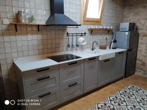 a kitchen with a sink and a refrigerator at Ca l'Aurora in Bot