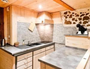Kuchyňa alebo kuchynka v ubytovaní Le Vénitien - Vieille Ville d'Annecy - Majord'Home