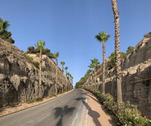 ulica z palmami na ścianie w obiekcie Las Colinas Golf - Naranjo 60 Penthouse w mieście Orihuela Costa