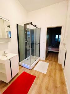 アルビにあるALBI Chambresのバスルーム(シャワー、赤い敷物付)