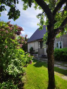 Gallery image of Sireli hubane maja oma aia ja kaminaga in Haapsalu