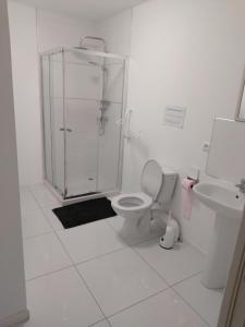 Koupelna v ubytování Villa DU Parc