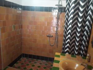ein Bad mit einem Waschbecken und einer Dusche in der Unterkunft Kasbah Petit Nomade in Tinghir