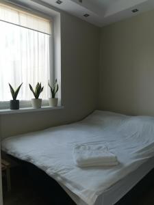 a white bed in a bedroom with a window at Apartament DINO in Ustka