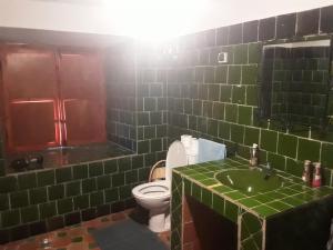 Baño de azulejos verdes con aseo y lavamanos en Kasbah Petit Nomade, en Tinerhir