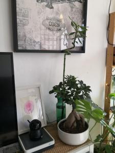 Kép My quiet house szállásáról Málagában a galériában