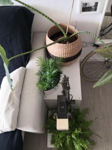A seating area at My quiet house