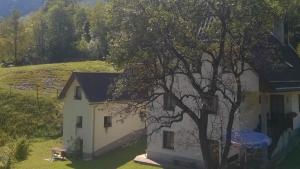 ein weißes Haus mit einem Baum davor in der Unterkunft Apartment Pretner, Lepena in Soča
