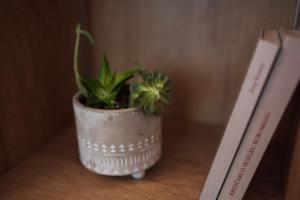 Ảnh trong thư viện ảnh của Riverland - luxury apartment Mostar ở Mostar +22 ảnh