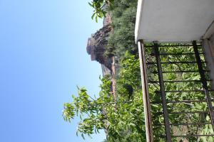 a building with plants on the side of it at Karya in Petra