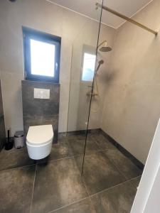 a bathroom with a toilet and a glass shower at Baltic House in Karwia