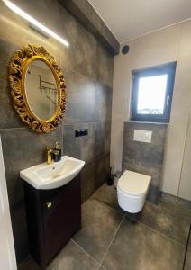 a bathroom with a sink and a toilet and a mirror at Baltic House in Karwia
