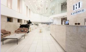 a lobby with a cat sitting at a counter in a store at H Avenue Hotel Idae Shinchon in Seoul