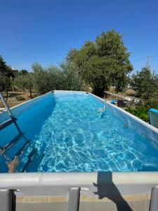 a large swimming pool with blue water at Casa Vacanze Giulienso in Ardea