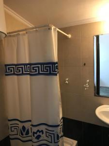 德爾菲的住宿－阿波羅簡易別墅露營旅館，浴室配有淋浴帘和盥洗盆。