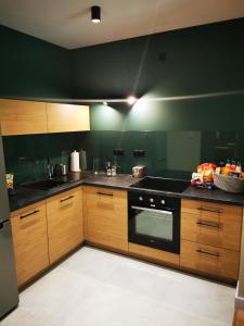 Kuchnia lub aneks kuchenny w obiekcie Leśny Apartament Nad Zalewem No. 2