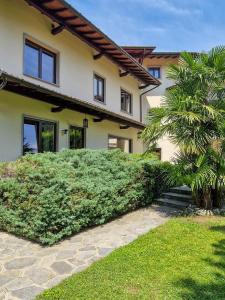 a house with a palm tree in front of it at Villa Sarchi in Grantola