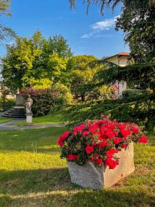 a couple of flowerpots filled with red flowers in a park at Villa Sarchi in Grantola