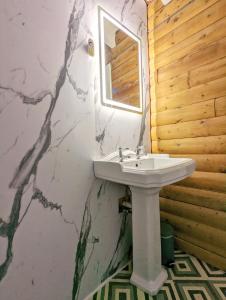 ein Badezimmer mit einem weißen Waschbecken und einem Spiegel in der Unterkunft kaoglen Wild-Hot tub-Cairngorms-Pet Friendly in Balnald