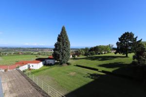 an aerial view of a green field with trees at Ferienzentrum Bodensee in Oberteuringen