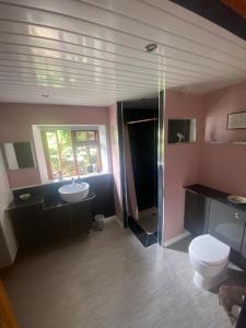 uma casa de banho com um WC, um lavatório e um chuveiro em CuckOO Nest Entire house 