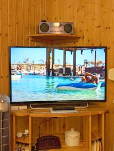 uma televisão com uma imagem de uma piscina em Gartenhaus Haufe em Quedlinburg