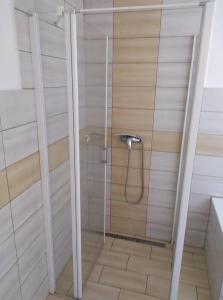 y baño con ducha y puerta de cristal. en Apartmán Olomouc Nemilany en Olomouc