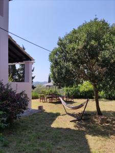 Zahrada ubytování Olive Hill House