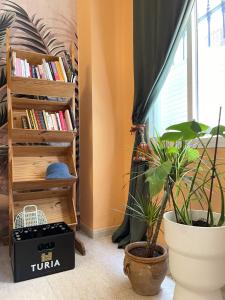 セビリアにあるServa La Bari Studioの本棚と植物のある部屋