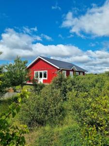 Imagen de la galería de Stóraborg Holiday Home, en Storaborg