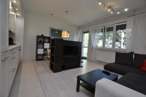 a living room with a couch and a tv at Apartament Bursztynowy z garażem -Centrum Gliwic in Gliwice