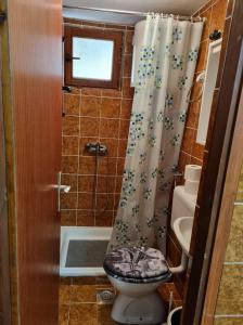 a bathroom with a toilet and a shower curtain at Apartments Jelena in Peroj +29 photos