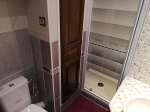 a bathroom with a toilet and a walk in shower at GAUDISSARD A619 in Barcelonnette