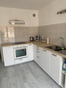 Kuchyňa alebo kuchynka v ubytovaní Superbe appartement climatisé avec parking privé + 7 fotografií