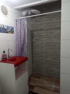 a bathroom with a red sink and a shower at Trip Adventure Poa in Porto Alegre