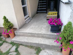 a group of potted plants on the steps of a house at Apartman Lastovicka in Stará Lesná