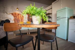 Kuchyň nebo kuchyňský kout v ubytování Bed & Breakfast Bakker Meijer