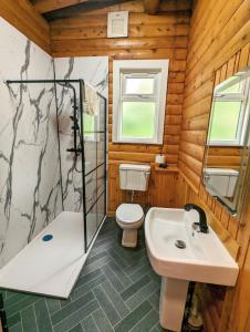 a bathroom with a toilet and a shower and a sink at Kaoglen Squirrel Drey-Hot Tub-Pet Friendly-Perth in Balnald