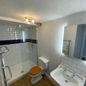a bathroom with a toilet and a shower and a sink at The Kings Head in New Buckenham