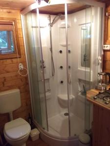 een badkamer met een douche en een toilet bij De Geheime Tuin - Huisje in 't Groen in Epe
