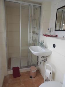 een badkamer met een douche en een wastafel bij Pilger- und Radlerherberge Herberge im Hofhaus in Colmberg