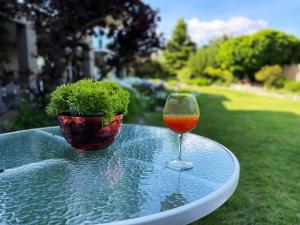 un bicchiere di vino seduto su un tavolo con una pianta di Spacious and quiet garden view room a Kelowna