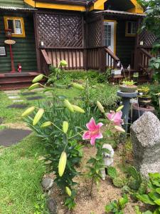 Gallery image of Mayfair Rodemtree Pension in Pyeongchang 