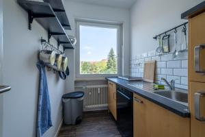 una pequeña cocina con fregadero y ventana en Spacious Flat en Karlsruhe