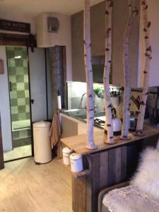 a kitchen with a counter with birch trees on it at Vue exceptionnelle ALPE D HUEZ in LʼHuez