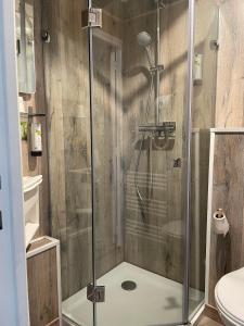 a shower with a glass door in a bathroom at Logis Hôtel- Restaurant Le Relais Guillaume de Normandy in Saint-Valery-sur-Somme