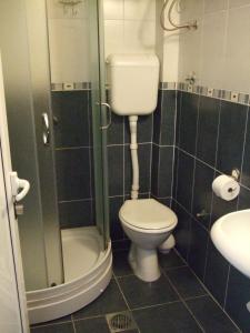 Koupelna v ubytování Apartments Vila Nikolić Rafailovići
