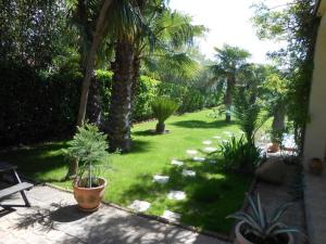 CoursanにあるMaison Monica Exeptionnel-Jardin paysage ZENのヤシの木と植物の芝生のある庭園