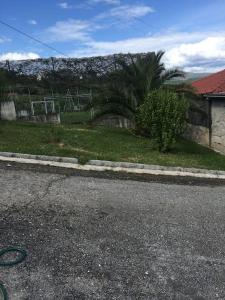 een lege straat met een huis en een palmboom bij casa da alegria in Urgueira